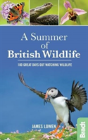 A Summer Of British Wildlife - Preview