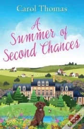 Capa do artigo A Summer Of Second Chances