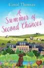A Summer Of Second Chances - Preview