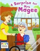 A Surprise For Mrs Magee