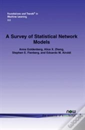 A Survey Of Statistical Network Models