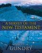 A Survey Of The New Testament - Preview