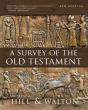 A Survey Of The Old Testament - Preview