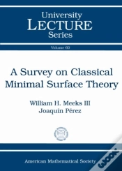 Capa do artigo A Survey On Classical Minimal Surface Theory