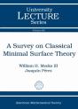 A Survey On Classical Minimal Surface Theory - Preview