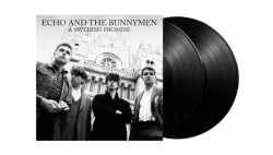 Capa do artigo A Swedish Promise - Vinil