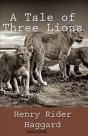 A Tale Of Three Lions Illustrated - Preview