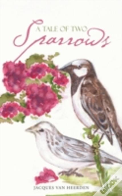 A Tale Of Two Sparrows
