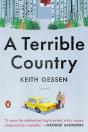 A Terrible Country - Preview