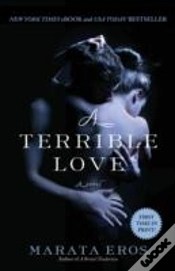Capa do artigo A Terrible Love