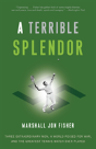 A Terrible Splendor - Preview