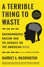 A Terrible Thing To Waste - Preview