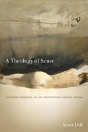 A Theology Of Sense - Preview