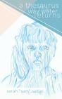 A Thesaurus For The Way Water Returns - Preview
