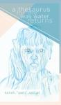 A Thesaurus For The Way Water Returns - Preview