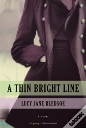 Capa do artigo A Thin Bright Line