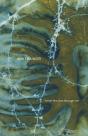 A Thin Fire Runs Through Me - Preview