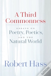 Capa do artigo A Third Commonness