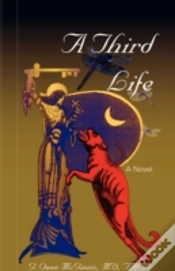 Capa do artigo A Third Life, A Novel