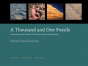 A Thousand And One Fossils - Preview