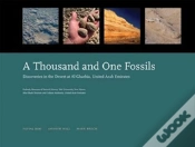 Capa do artigo A Thousand And One Fossils