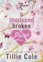 A Thousand Broken Pieces - Preview