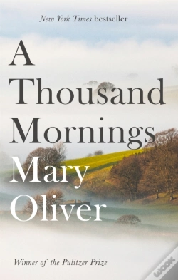 Capa do artigo A Thousand Mornings