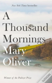 Capa do artigo A Thousand Mornings