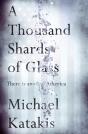 A Thousand Shards Of Glass - Preview