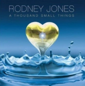 Capa do artigo A Thousand Small Things - CD