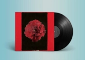 Capa do artigo A Thousand Years in Another Way - Vinil