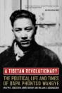 A Tibetan Revolutionary - Preview