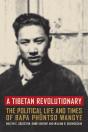 A Tibetan Revolutionary - Preview