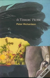 Capa do artigo A Tinker