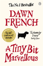A Tiny Bit Marvellous - Preview