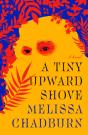 A Tiny Upward Shove - Preview