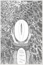 A Title Befitting A Simple Boy - Preview