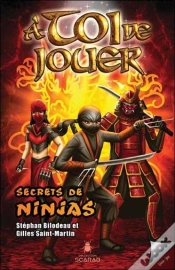 Capa do artigo A Toi De Jouer - Secrets De Ninjas Tome 3