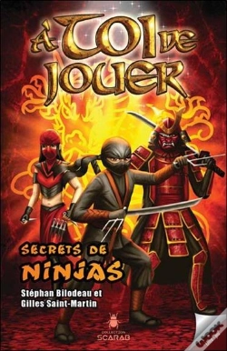 Capa do artigo A Toi De Jouer - Secrets De Ninjas Tome 3