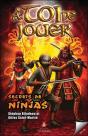 A Toi De Jouer - Secrets De Ninjas Tome 3 - Preview