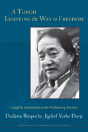A Torch Lighting The Way To Freedom - Preview