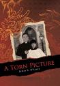 A Torn Picture - Preview
