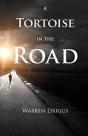 A Tortoise In The Road - Preview