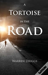 A Tortoise In The Road