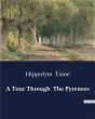 A Tour Through The Pyrenees - Preview
