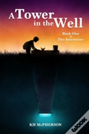 Capa do artigo A Tower In The Well
