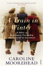 A Train In Winter - Preview