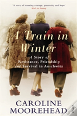 Capa do artigo A Train In Winter