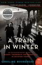 A Train In Winter - Preview