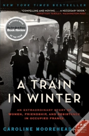 Capa do artigo A Train In Winter